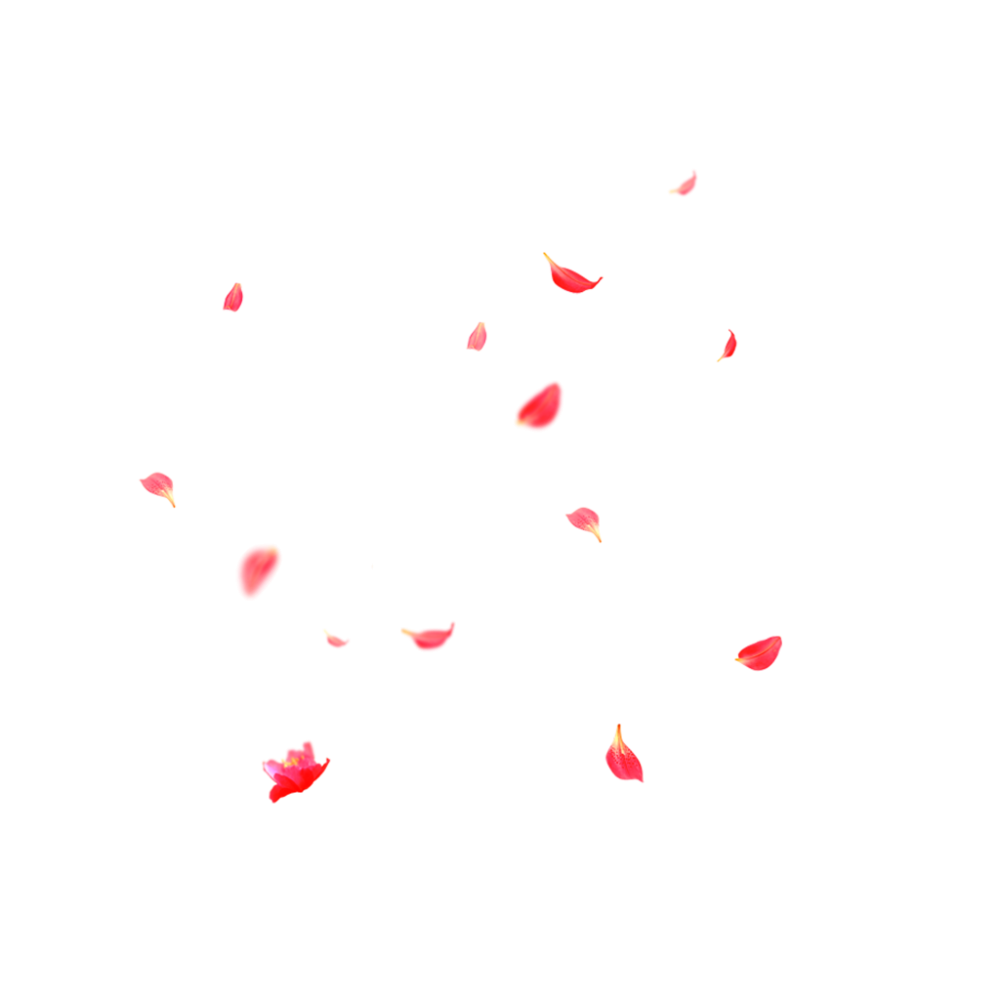 Лепестки роз
