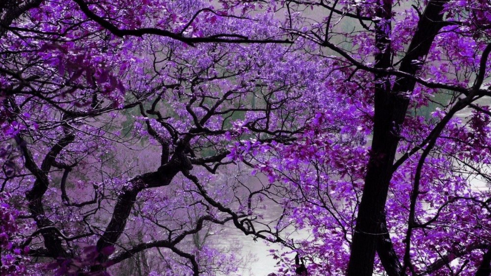Дрейн aesthetic Purple