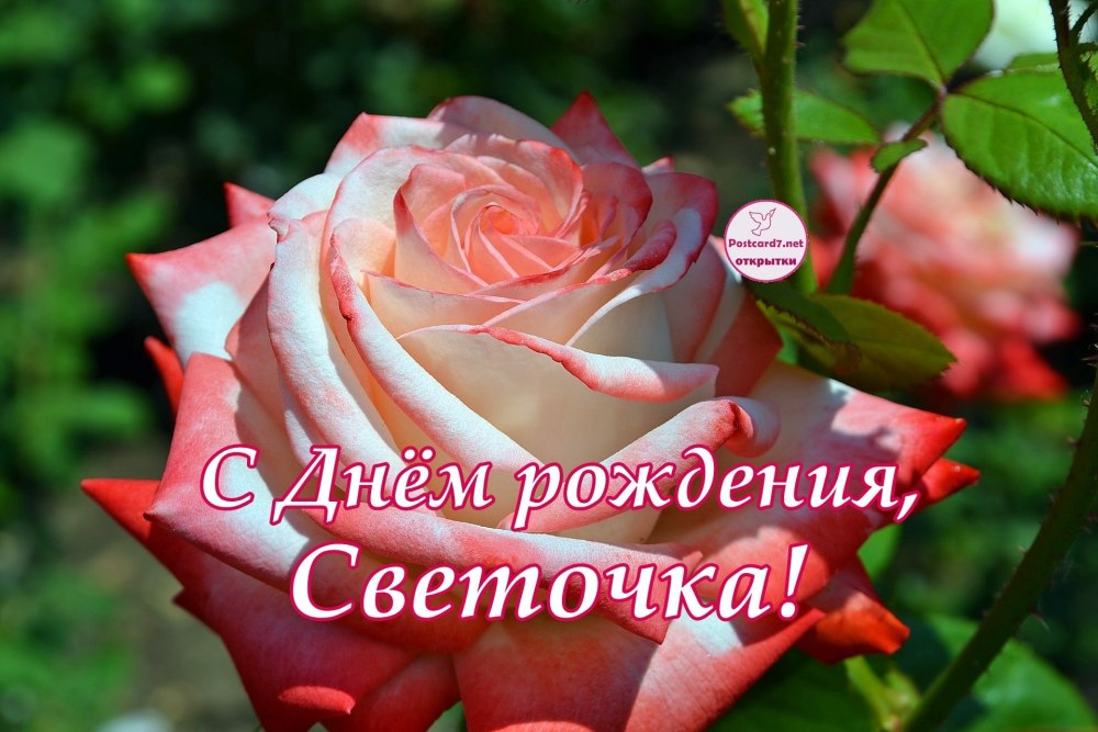С днём рождения Светлана картинки