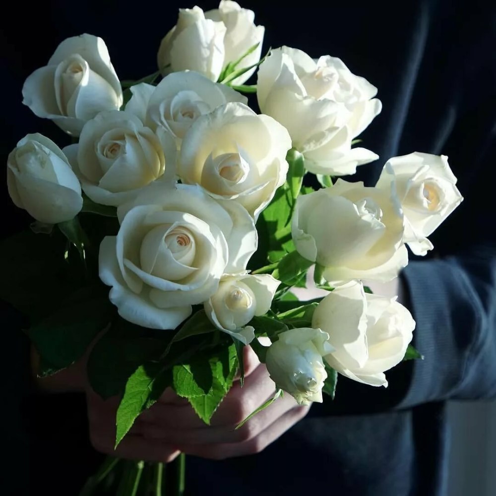 Розы для любимой