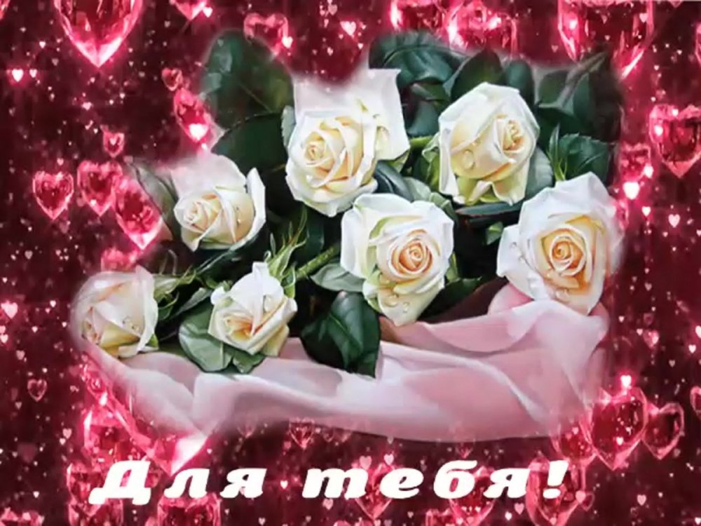 Букеты белых роз красивые нежные