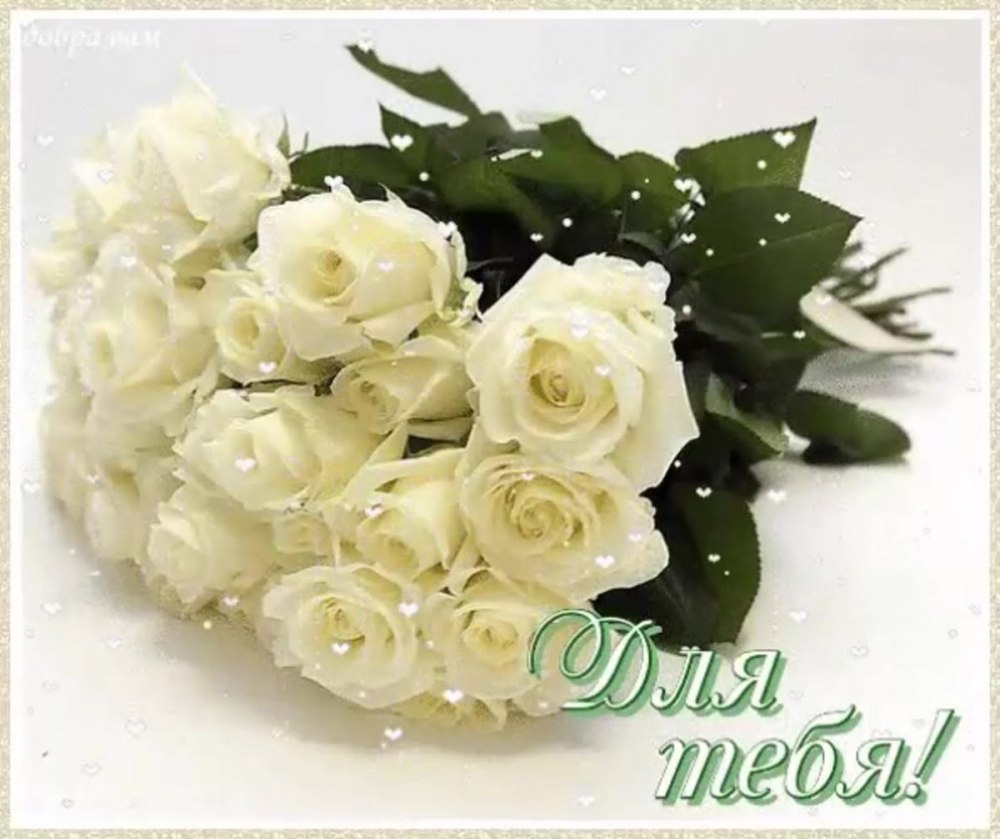 Белые цветы