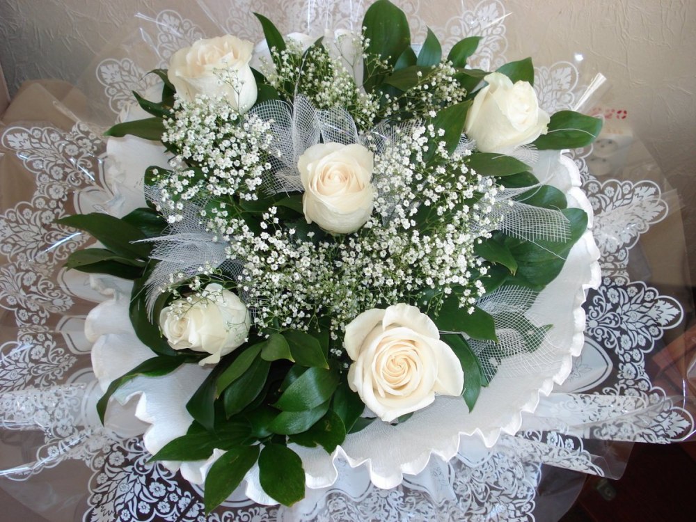 Открытки с белыми розами