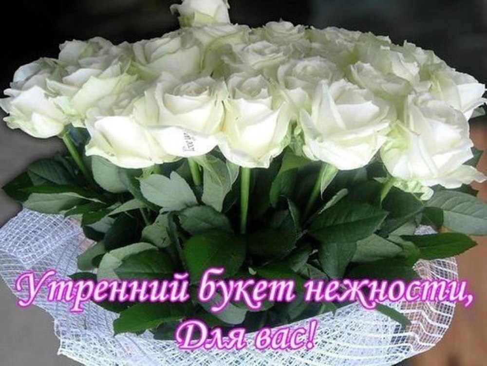 Картинка белые розы ВК