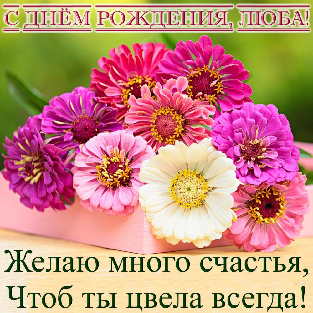 С днём рождения састра