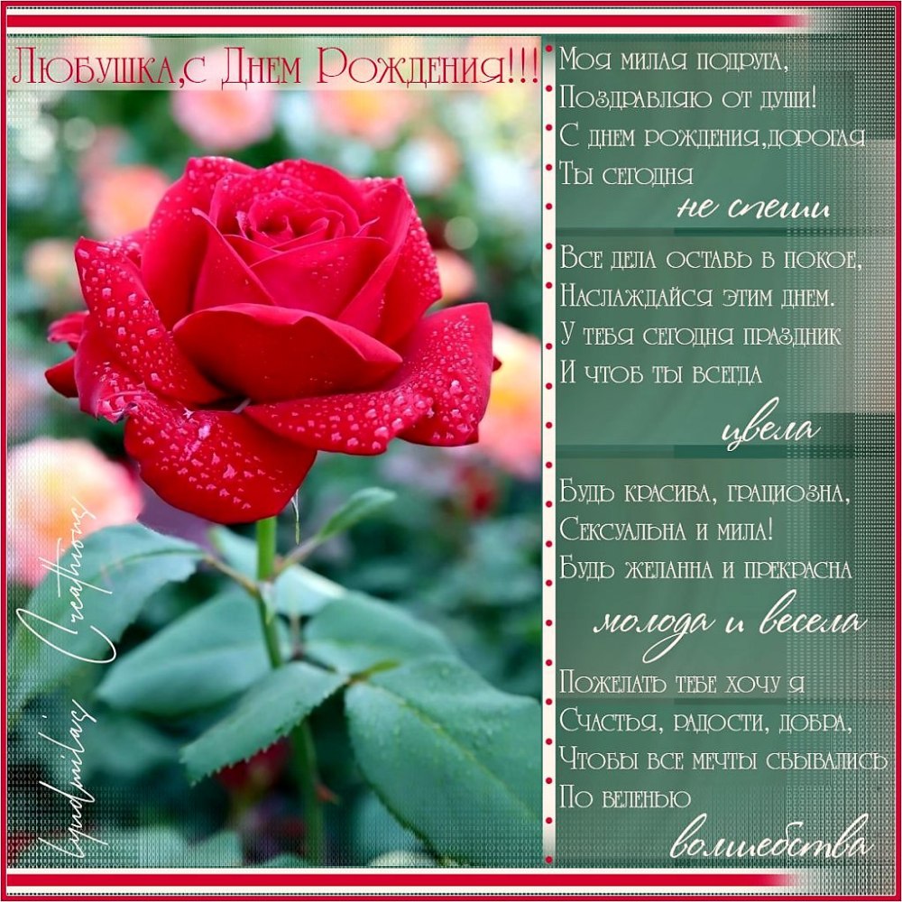 У Любы день рождения когда
