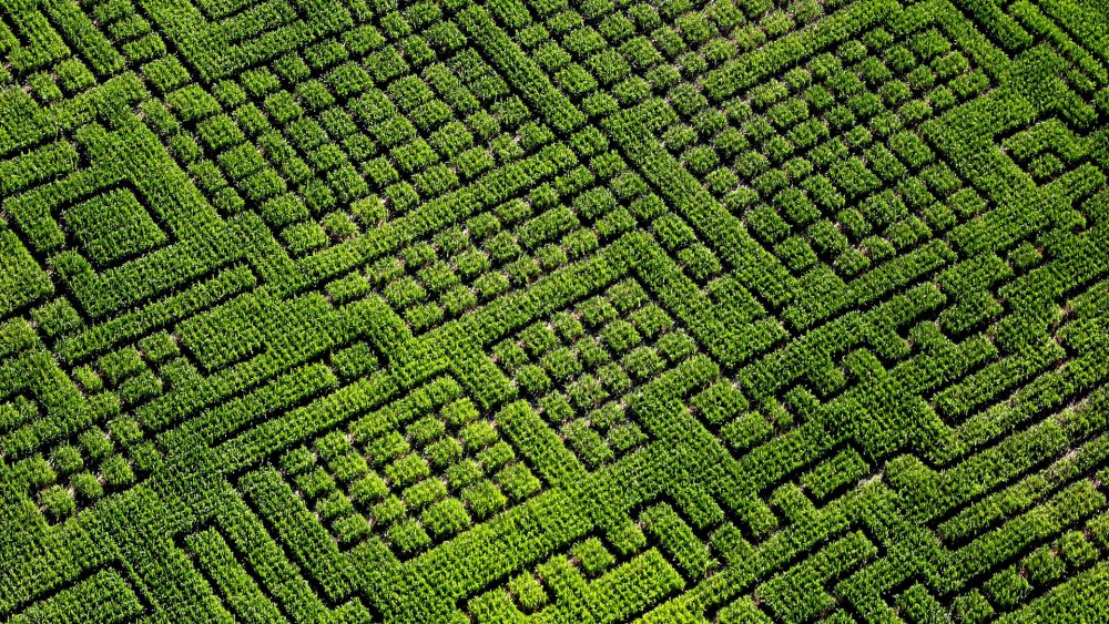 Лабиринт long Hedge Maze
