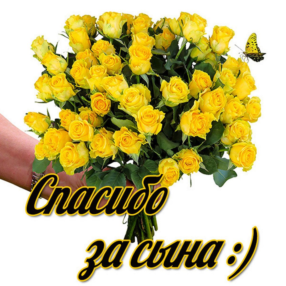 Наклейки на выписку