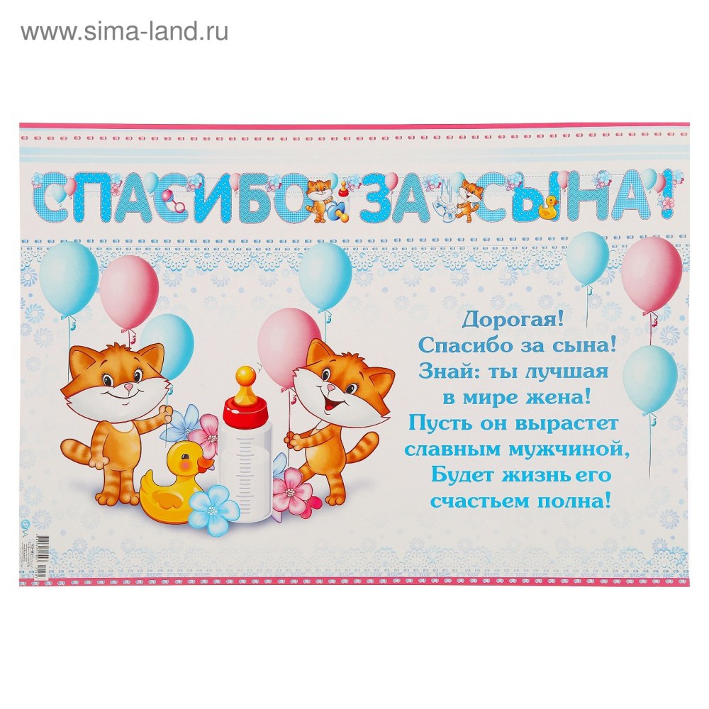 Спасибо за сына