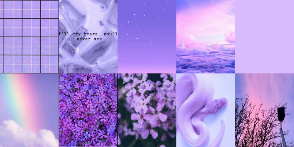 Lavender Lindy – Лаванда