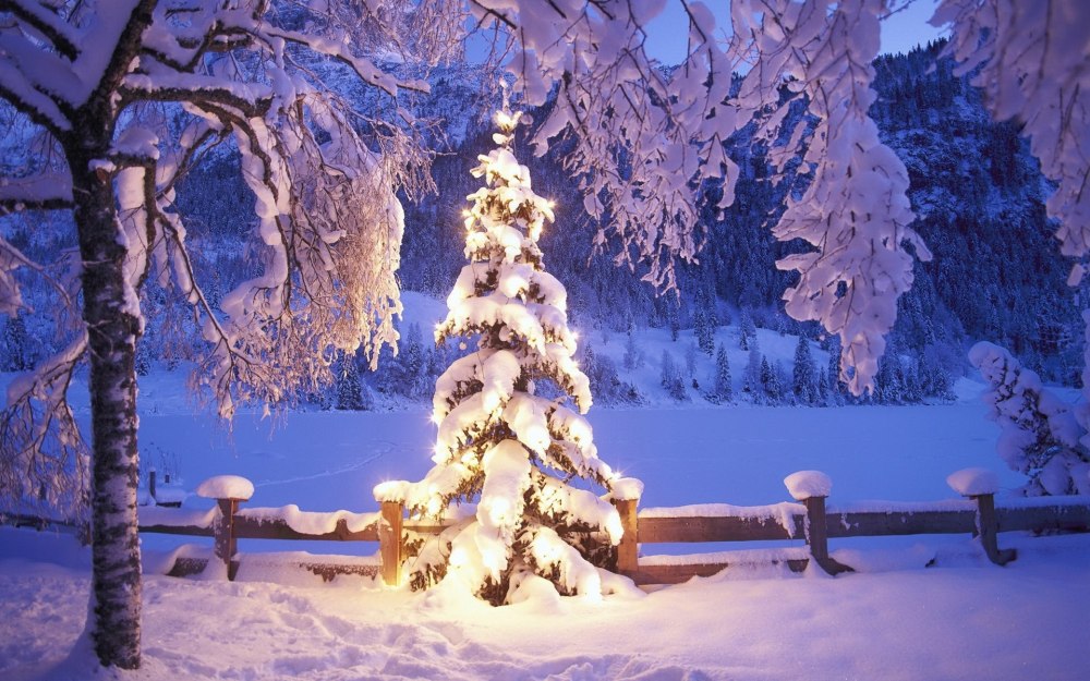 В новогоднем лесу