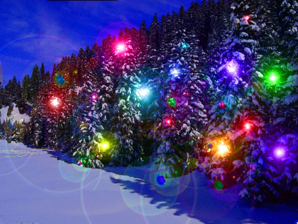 Новогодняя природа