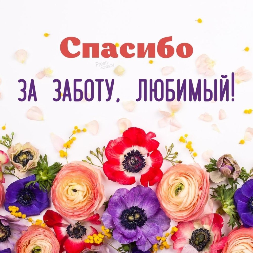 Спасибо моя хорошая картинки