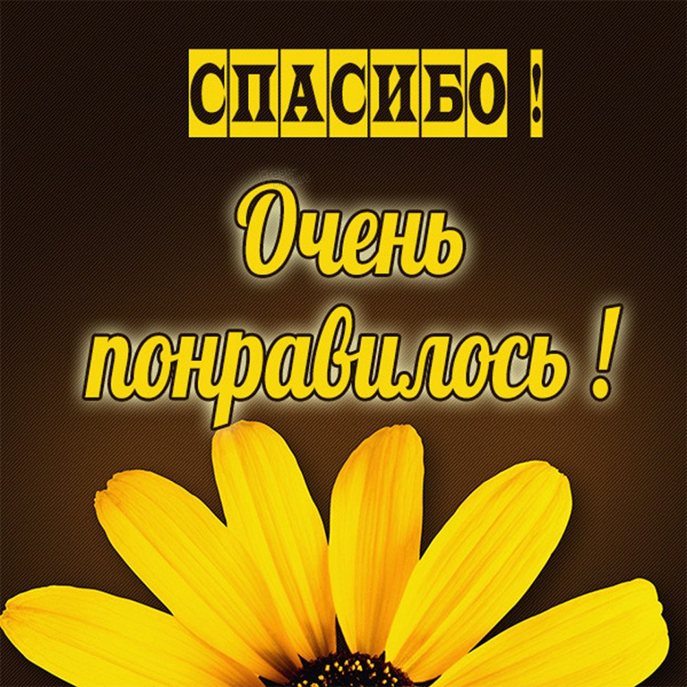 Сердечное спасибо