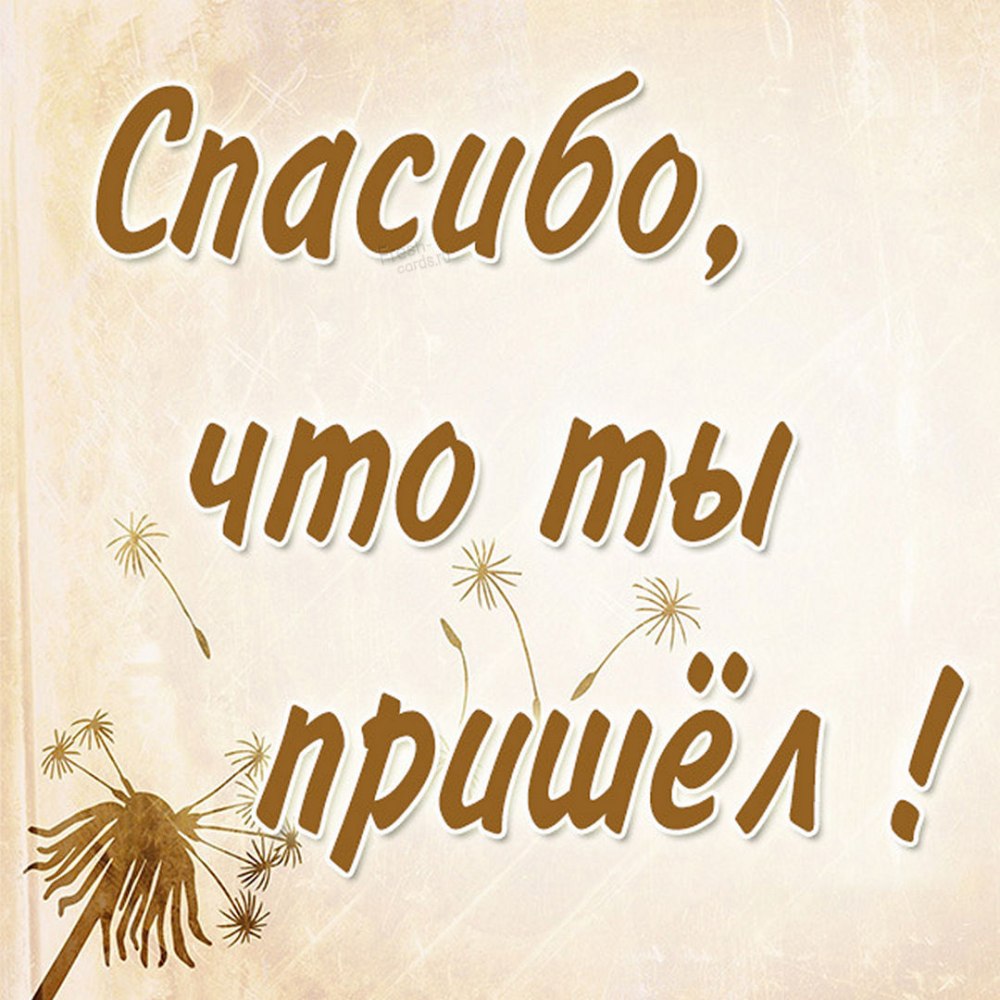 Спасибо за ТГО что т ыесть