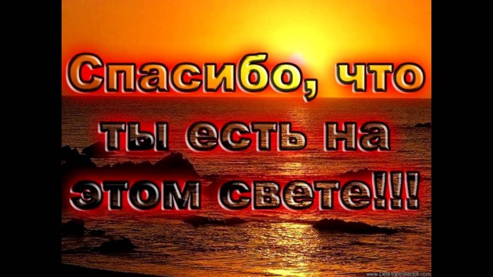 Спасибо дорогая картинки