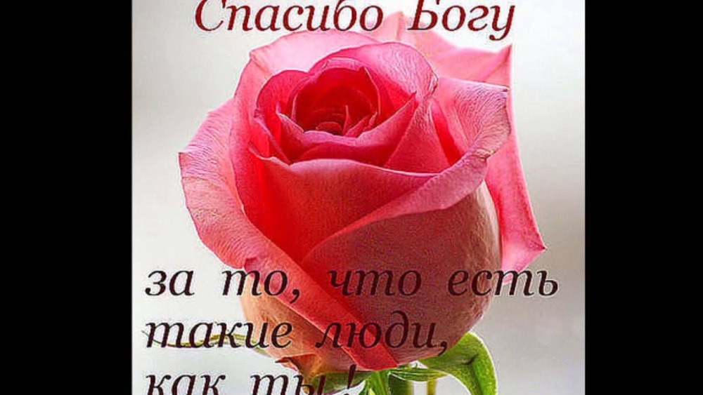Спасибо дорогая за поздравления