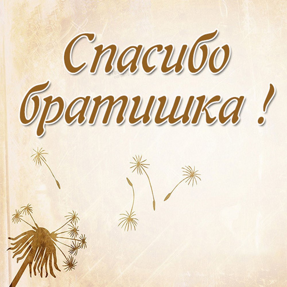 Благодарность за подарок