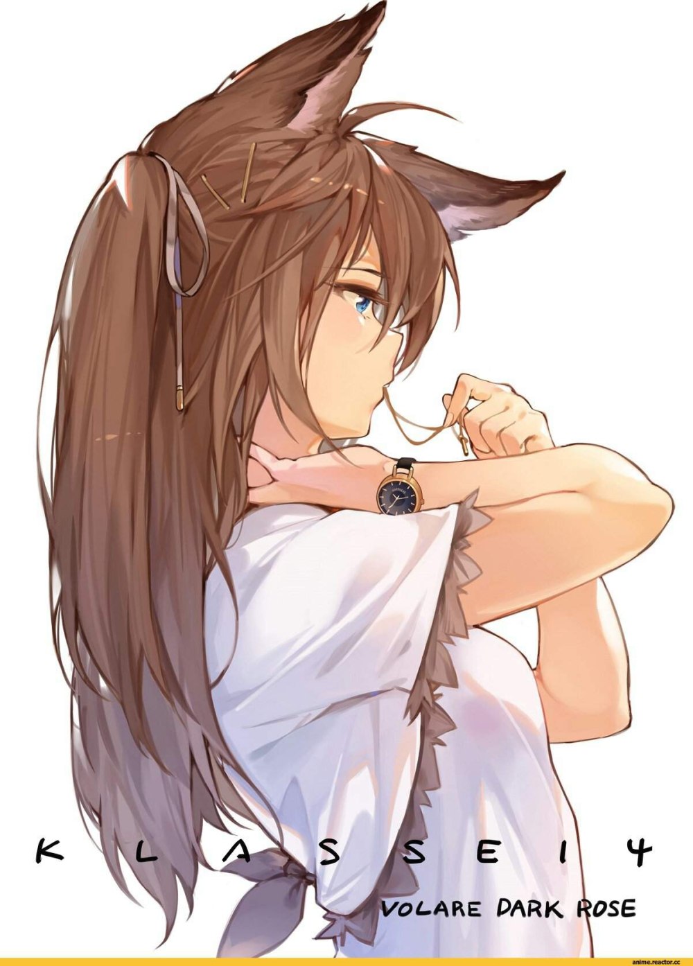 Эми Кицунэ