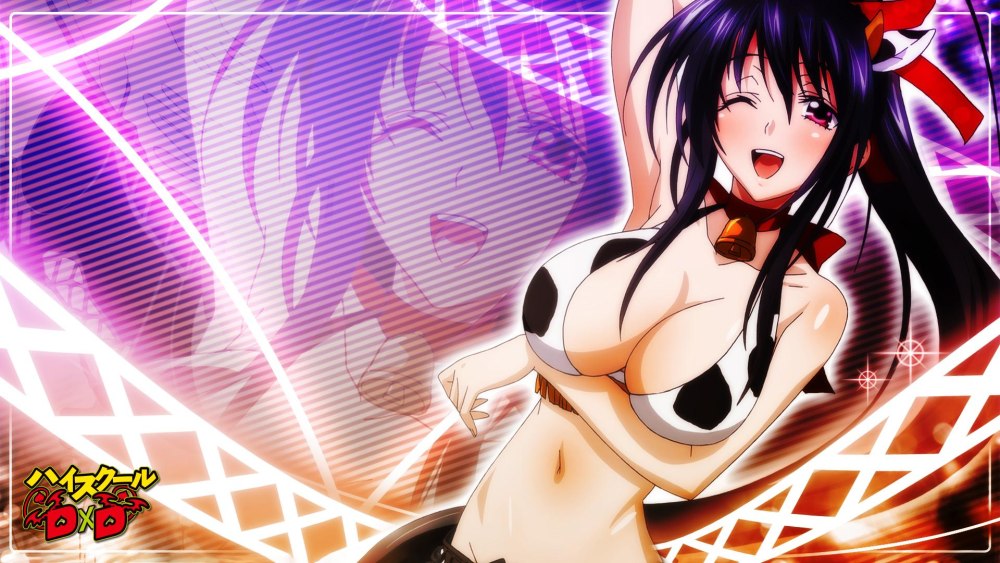 Akeno Himejima 18