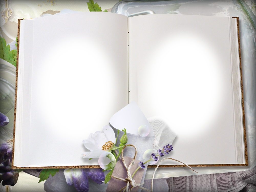 Книга на прозрачном фоне