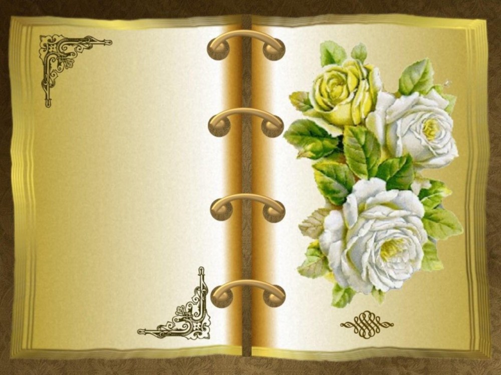 Пустая книга