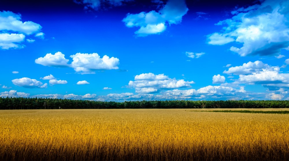 Солнечное небо