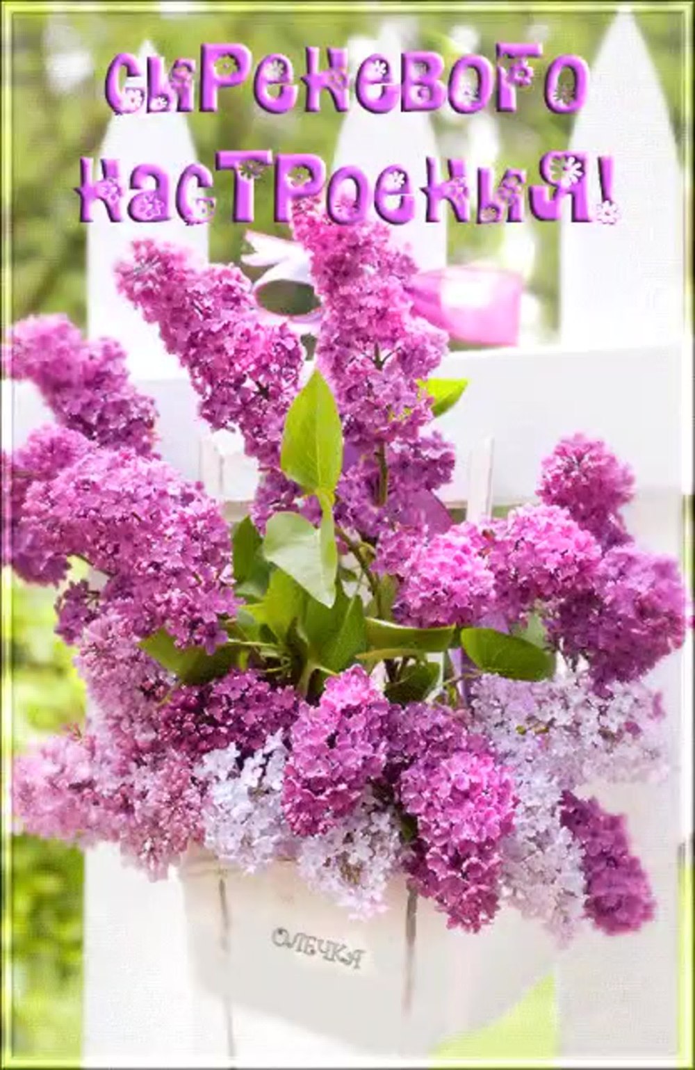 Сирень с пожеланиями