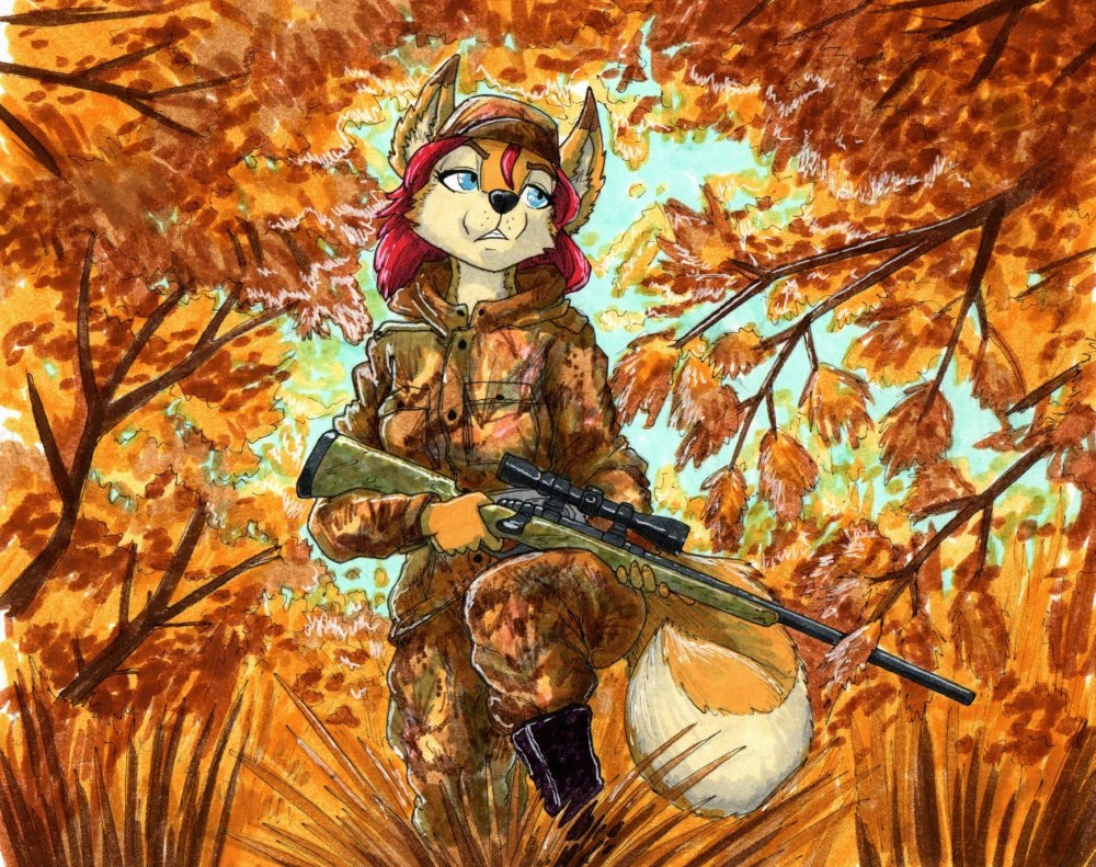 Лис с винтовкой