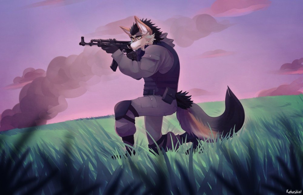 Furry imiak