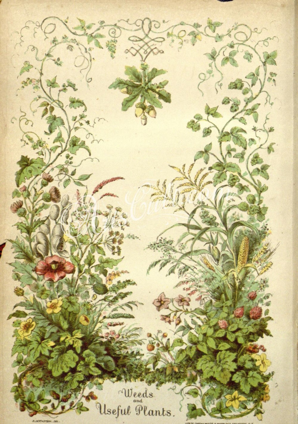 Красивые форзацы книг
