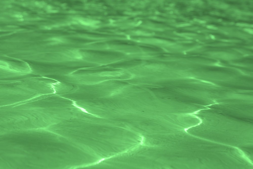 Воды зеленого цвета