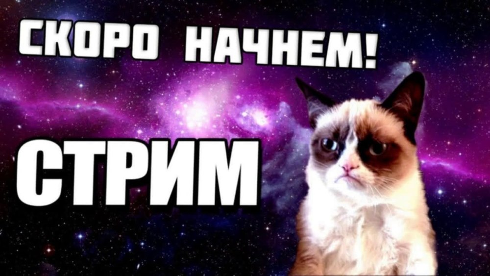 Начало стрима