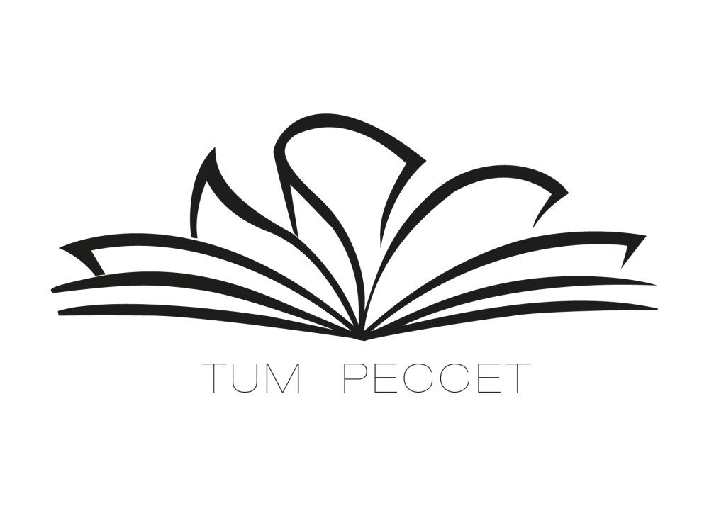 Стилизованная книга
