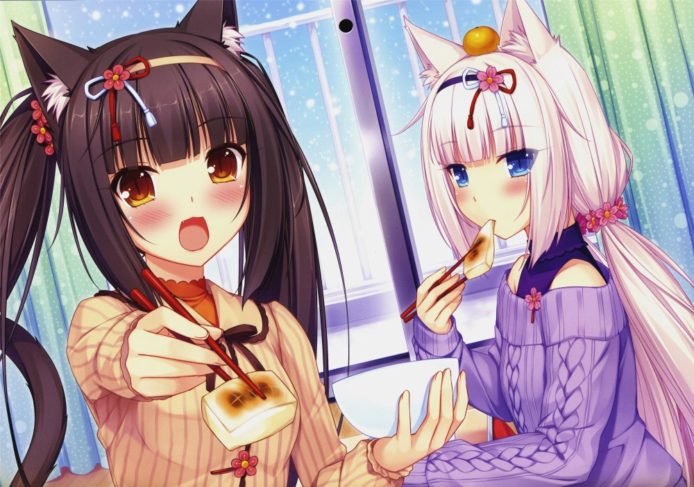 Кошачий рай Чокола
