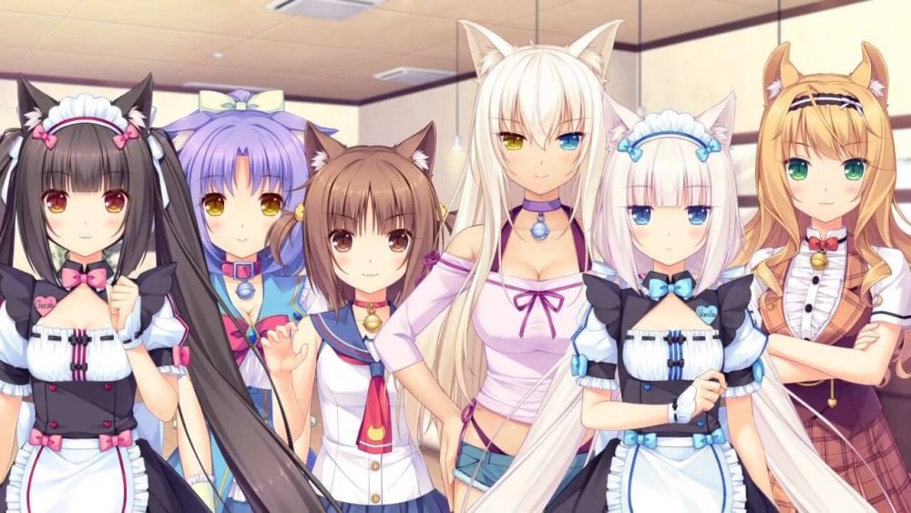 Nekopara Шигуре