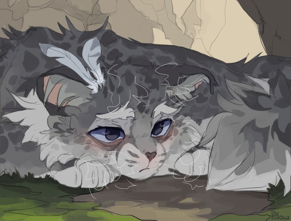 GRAYPILLOW коты Воители