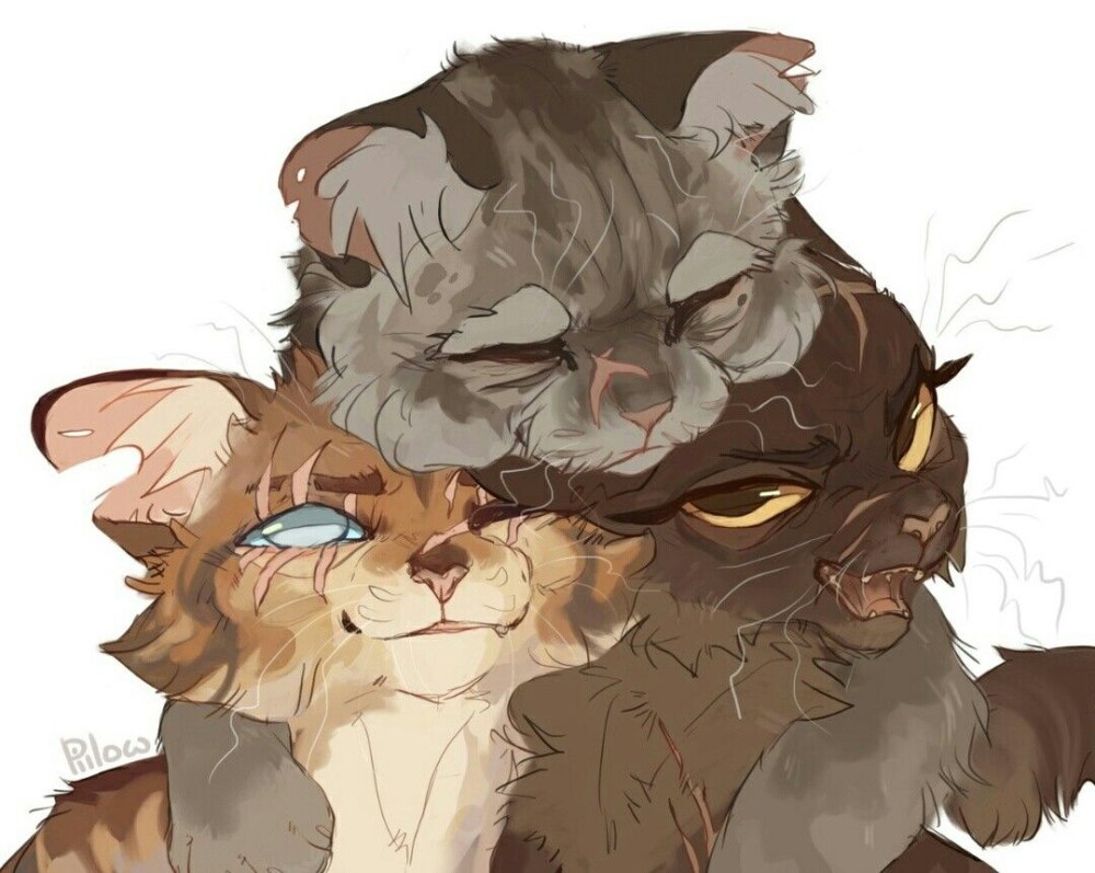 GRAYPILLOW коты Воители