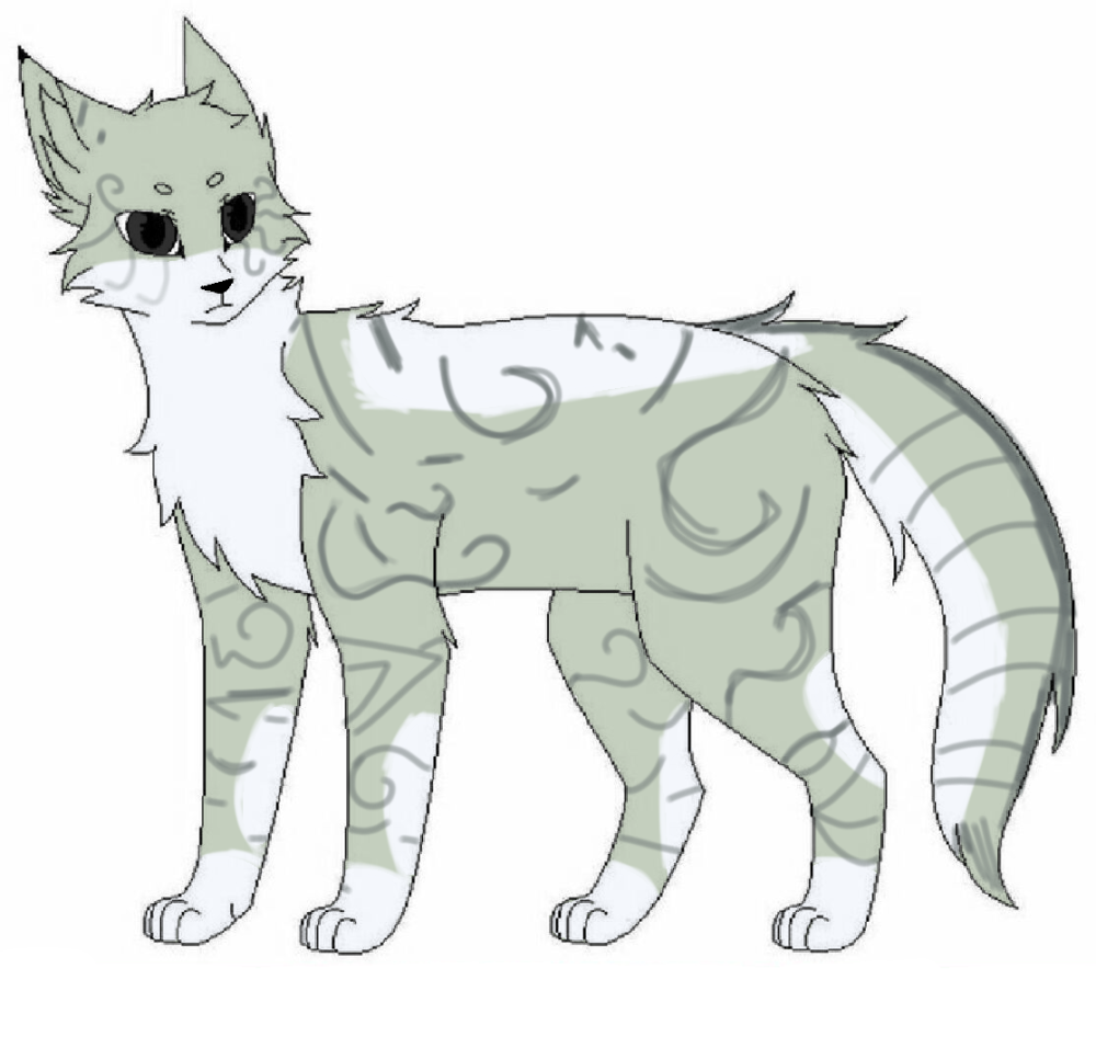 Коты Воители Серокрыл