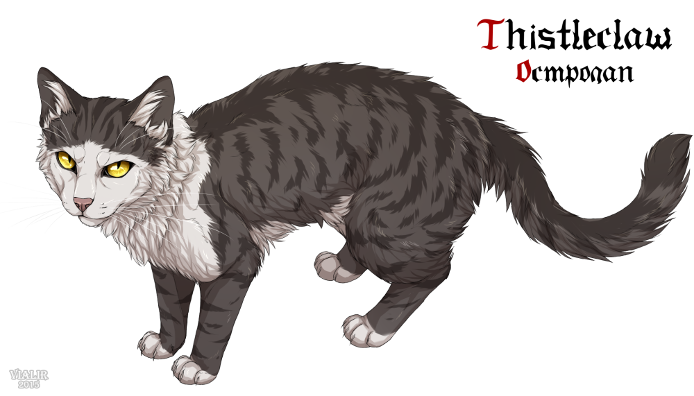 Thistleclaw коты Воители