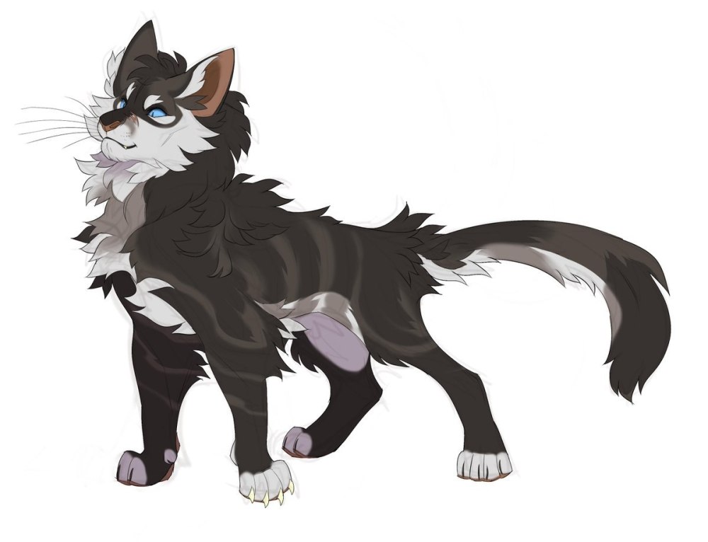Hawkfrost коты Воители