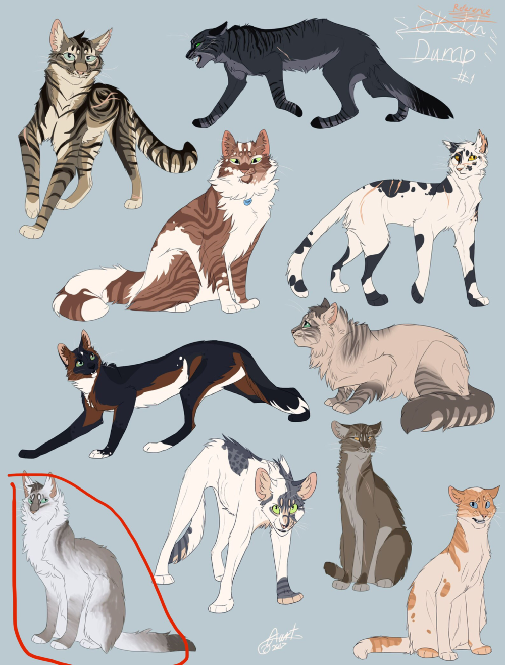 Кошка референс коты Воители