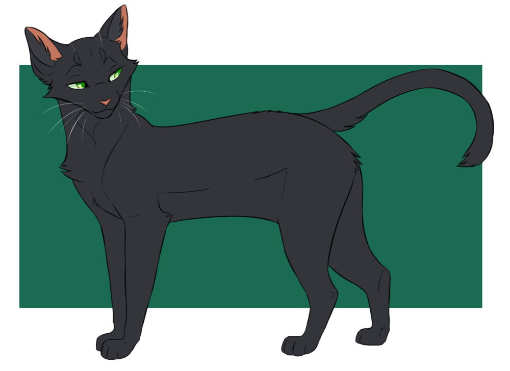 Остролистая Warriors Cats
