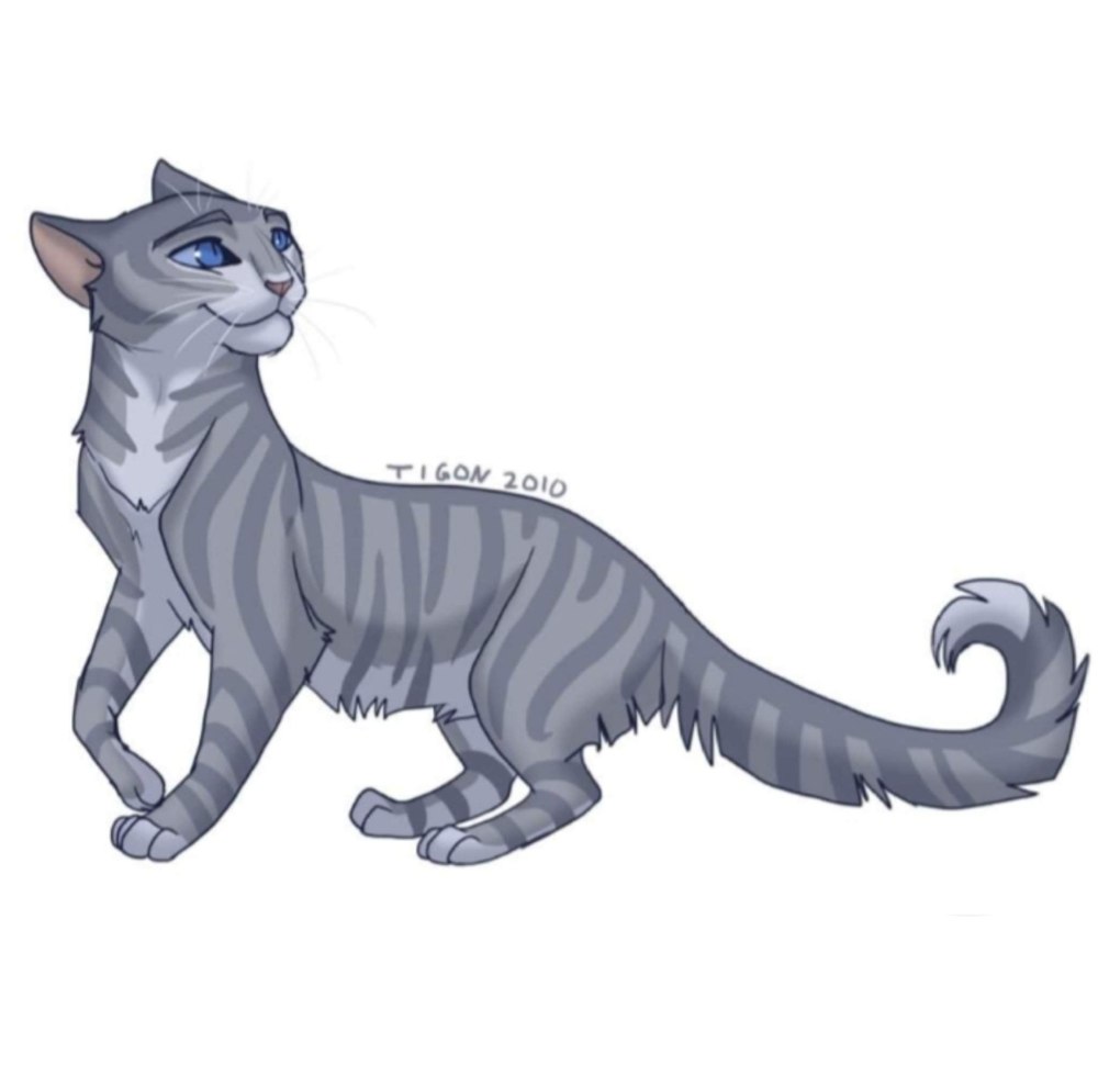 Утёсник коты Воители