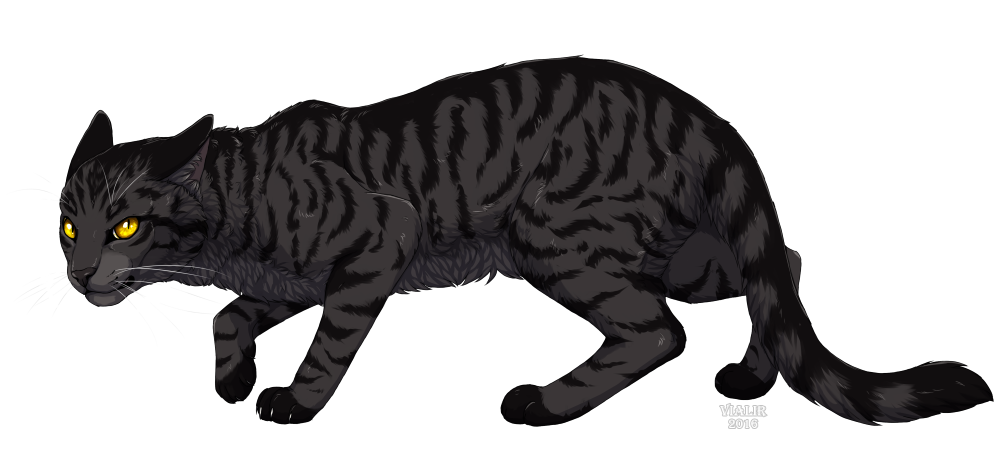 Коты Воители Виалир