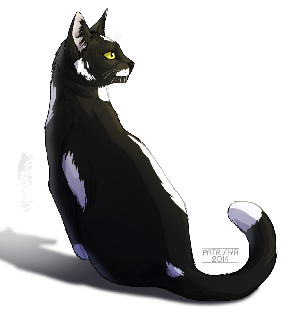 Коты Воители прыгун