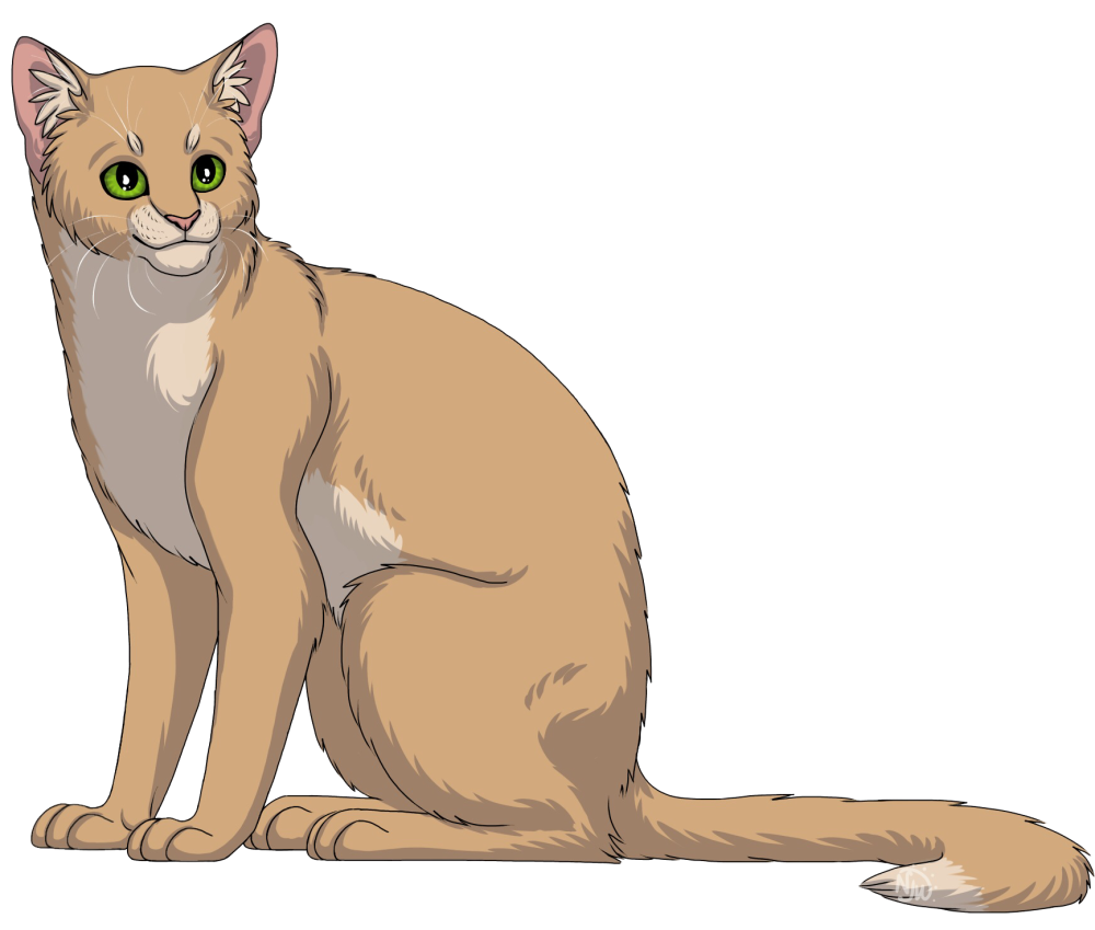 Коты Воители Тучезвезд