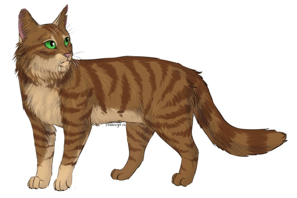 Коты Воители окрасы