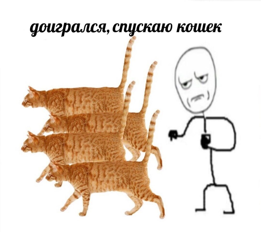 Когда вместо то есть сказал то бишь