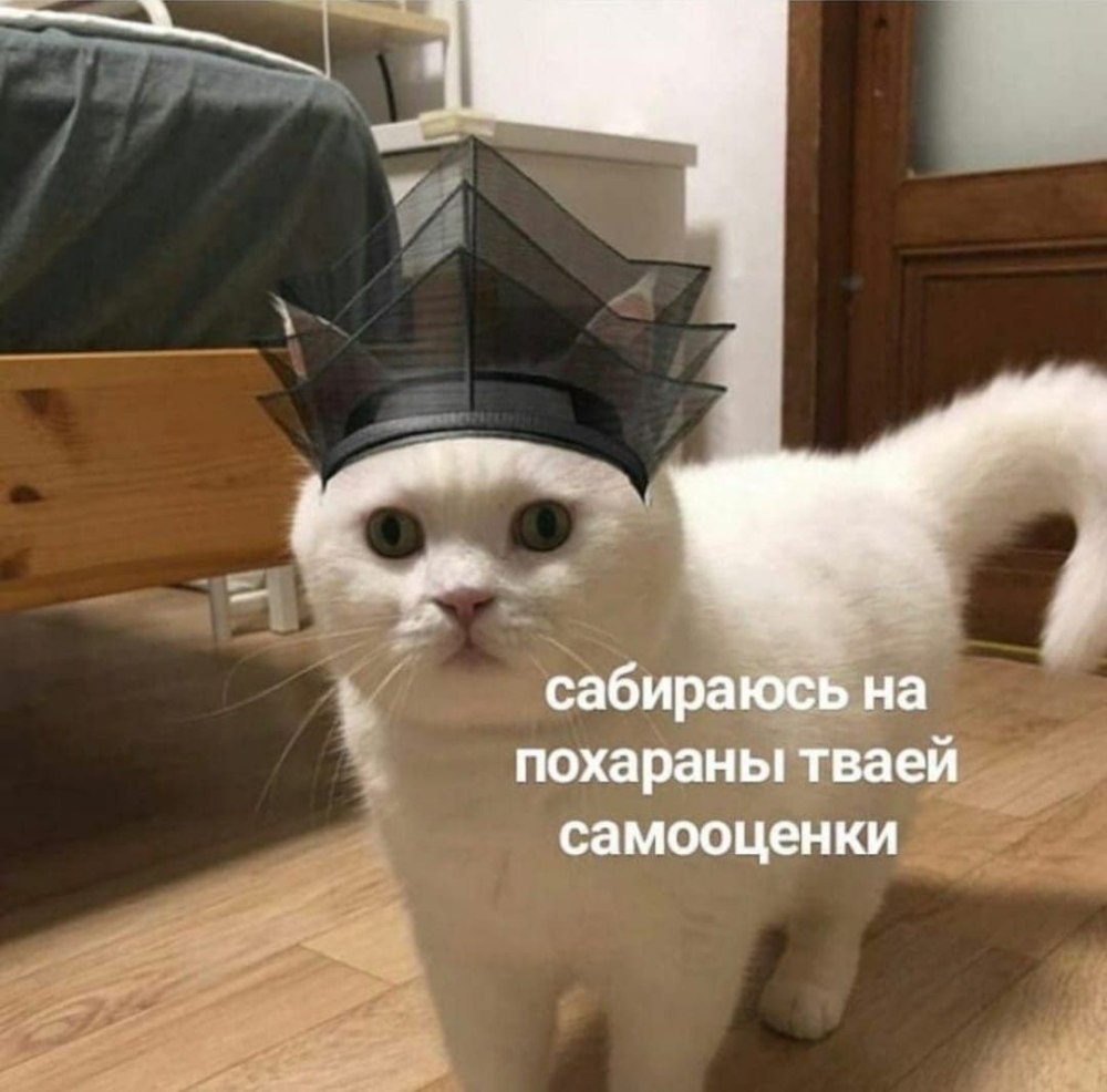 Мемы про продавщиц